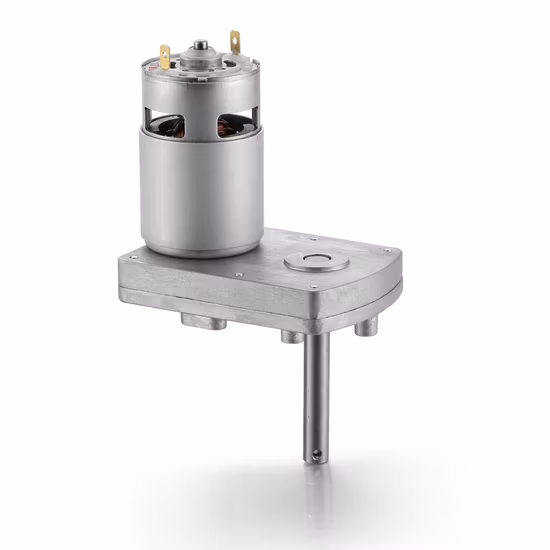 12V 24V relación de engranaje de alto Torque 10,4 W 31rpm Micro cepillo eléctrico Mini Motor de caja de engranajes de CC con ruedas para Robot/máquina expendedora